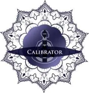 Quantum Human Design Type Calibrator Reflector Chart Readings Lisa Foresman Enlumnia Dallas TX