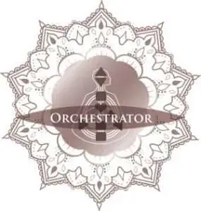 Quantum Human Design Type Orchestrator Projector Chart Readings Lisa Foresman Enlumnia Dallas TX